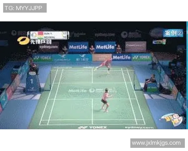 武汉羽毛球队在挑战赛中的默契配合与战术分析